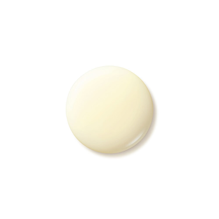 Shiseido - Benefiance - Wrinkle Smoothing Day Emulsion SPF20