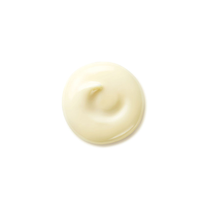 Shiseido - Benefiance - Wrinkle Smoothing Day Cream SPF25