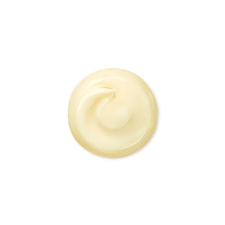 Shiseido - Benefiance - Wrinkle Smoothing Cream